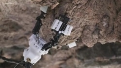 Etats-Unis : Un robot insecte pour explorer Mars et la Lune