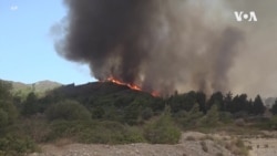 希臘當局繼續疏散受山火影響的居民