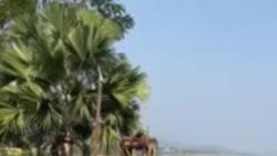 ທ່ານລິນທອງ, ຢູ່ທີ່ເຮືອນສວນແຄມແມ່ນໍ້າ.