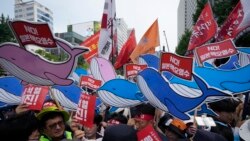 專家：中國將福島排海計劃視為分裂首爾和東京的工具
