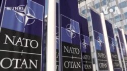 歐洲領導人批評特朗普 有關俄羅斯和北約的言論