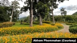 ອີກມຸມນຶ່ງ ໃນສວນດອກໄມ້ ທີ່ຕາດຮ້ອຍຄົວ.