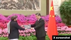 阿富汗驻中国大使比拉尔·卡里米向习近平递交国书。（2024年1月30日）
