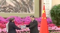 習近平接受阿富汗大使國書是否意味著中國正式承認塔利班政權？