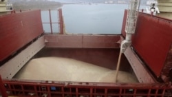 不滿西方設出口障礙 俄羅斯擬不再延長黑海穀物倡議