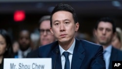 TikTok行政總裁周受資1月31日在美國參議院司法委員會的聽證會上。