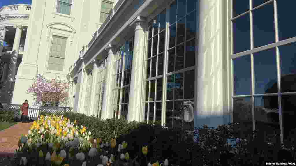 Los terrenos de la Casa Blanca son el paisaje público más antiguo de los Estados Unidos. El primer jardín fue solicitado por el presidente John Adams, el primer residente de la Casa Blanca.