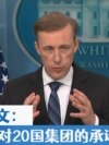 沙利文：美国对20国集团的承诺不会动摇