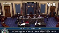 繼眾議院之後，參議院通過援助烏克蘭以色列和台灣的法案，並包含可能封鎖TikTok條款 