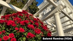 Entrada al jardín Jacqueline Kennedy de la Casa Blanca el viernes, 13 de octubre de 2023.