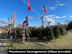 ຮ້ານ​ຂາຍ​ຕົ້ນ ຄ​ຣິ​ສ​ມາ​ສ ໃນ​ເມືອງ ອາ​ເລັກ​ແຊນ​ເດ​ຣຍ, ລັດ ເວີ​ຈິ​ເນຍ, 20 ທັນ​ວາ 2023.