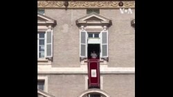 教宗呼吁停止以色列的暴力冲突