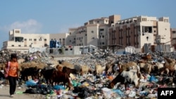 在以哈冲突期间加沙地带南部的阿斯达中央监狱设施成为流离失所者的避难所，现在的现状。（2024年8月14日）