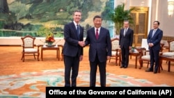 中國領導人習近平在北京人大會堂會見到訪的美國加州州長紐森。（2023年10月25日）