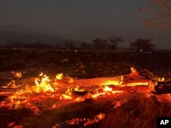 夏威夷毛伊島遭野火施虐。（2023年8月9日）