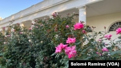 El Jardín de Rosas en la Casa Blanca es reconocido por sus limpias líneas geométricas con un campo abierto de grama en su centro. Alrededor, una abundancia de rosas es protagonista del espacio.