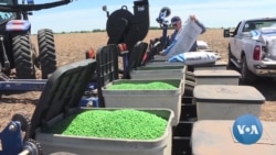VOA视频：国会议员寻求遏制中国购买美国农田，当地农民怎么说？