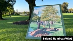 Alrededor de los jardines de la Casa Blanca se levantan fotografías de presidentes sembrando árboles de manera conmemorativa, una tradición que se remonta a 1870.