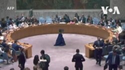 美國呼籲安理會表決支持其加沙停火計劃