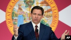 资料照片：佛罗里达州州长罗恩·德桑蒂斯(Ron DeSantis)。