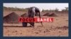 focus sahel, épisode 2
