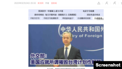 中國新浪網相關新聞報導的網頁截圖。