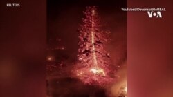 加拿大西岸野火蔓延導致三萬多人需要疏散