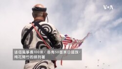 一年一度的華府風箏節，在春日和風中引來了大批民眾參與 