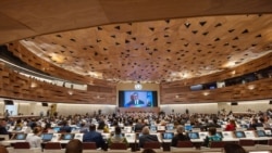 台灣記者被禁止採訪世衛大會