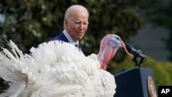President Joe Biden pardons the national Thanksgiving turkeys, Liberty and Bell, during a ceremony on the South Lawn of the White House in Washington, Nov. 20, 2023. 
