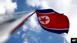 北韓國旗。