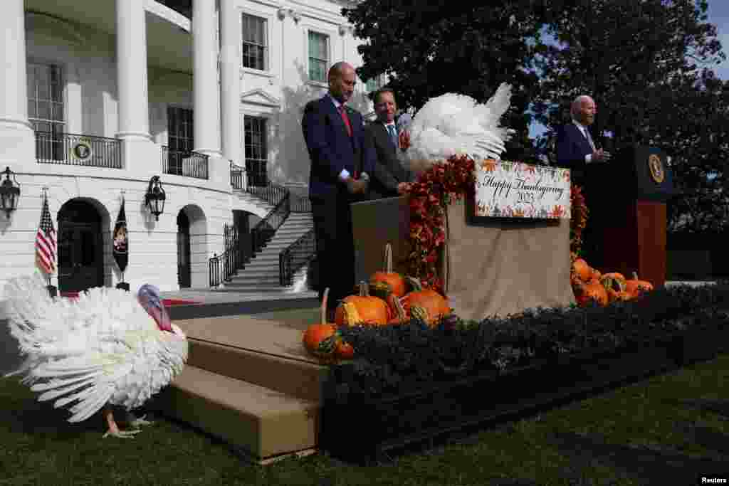 Esta es una tradición que se lleva a cabo cada año para el Día de Acción de Gracias en EEUU.