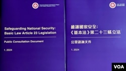 香港保安局表示，為期約一個月的《基本法》23條立法公眾諮詢，收到超過1萬3千份意見書，當中接近99%表達支持及正面的意見。(美國之音/湯惠芸)