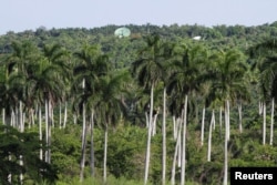 2023年6月12日，古巴贝尤卡尔附近一个古巴军事基地的建筑视图。（路透社照片）