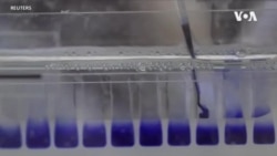 ລາງວັນໂນເບລ ສໍາລັບຢາວັກຊີນ mRNA