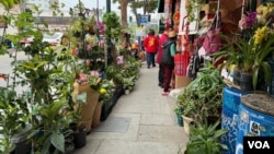 洛杉磯唐人街路邊的花店 (美國之音/張木林)