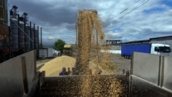 聯合國：烏克蘭糧食出口應該幾天內再次開始