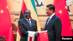 中国国家主席习近平在北京人大会堂会见到访的津巴布韦总统穆加贝。（2014年8月25日）