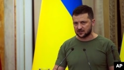 资料照片：乌克兰总统泽连斯基。
