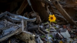 烏克蘭稱烏軍正在向南部赫爾松地區發起猛烈攻擊