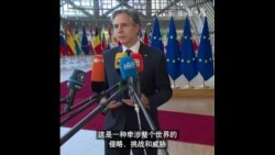 布林肯：俄乌战争影响波及全球