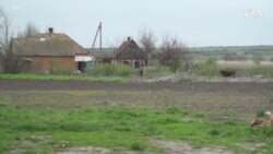 乌克兰：尽管遭到炮击，一些农民仍留在他们的土地上