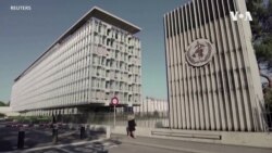 世衛：中國報告沒有發現新的新冠病毒亞變異株，但未能準確說明疫情真相