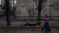 VOA专访: 乌克兰议员分娩在即 奔走美国国会争取支持