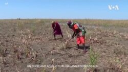 聯合國：2021年全球飢餓人口新增4千萬 俄軍侵烏或引發飢荒 