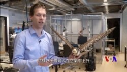 美國專訊 (粵語)764 (2018年12月22日)