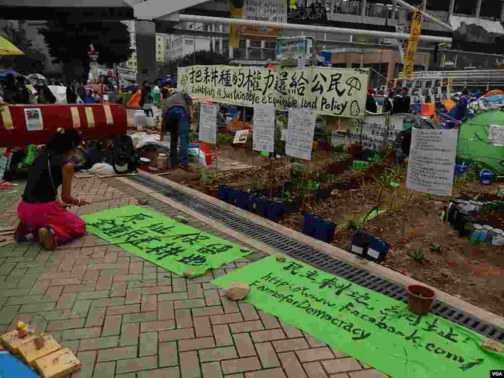 金鐘佔領區內的種植區 