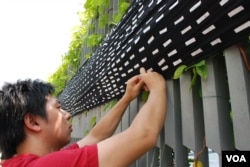 示威者將貼上10個反對國民教育簽名的巨型黑布，掛上香港特首辦公室外