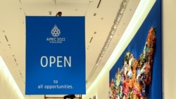 世界領袖齊聚“亞太經合峰會” 泰國尋求促進國際關係