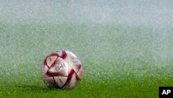 卡塔尔多哈一处球场训练前摆在草场的一个足球。(2022年12月12日)